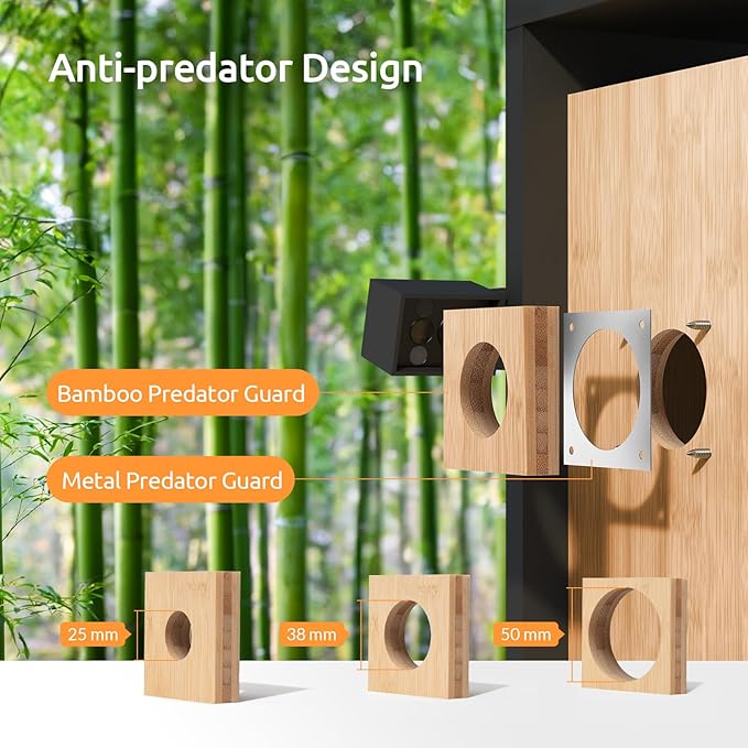 Birdfy Nest Duo - Smart Bird House with Dual Cameras