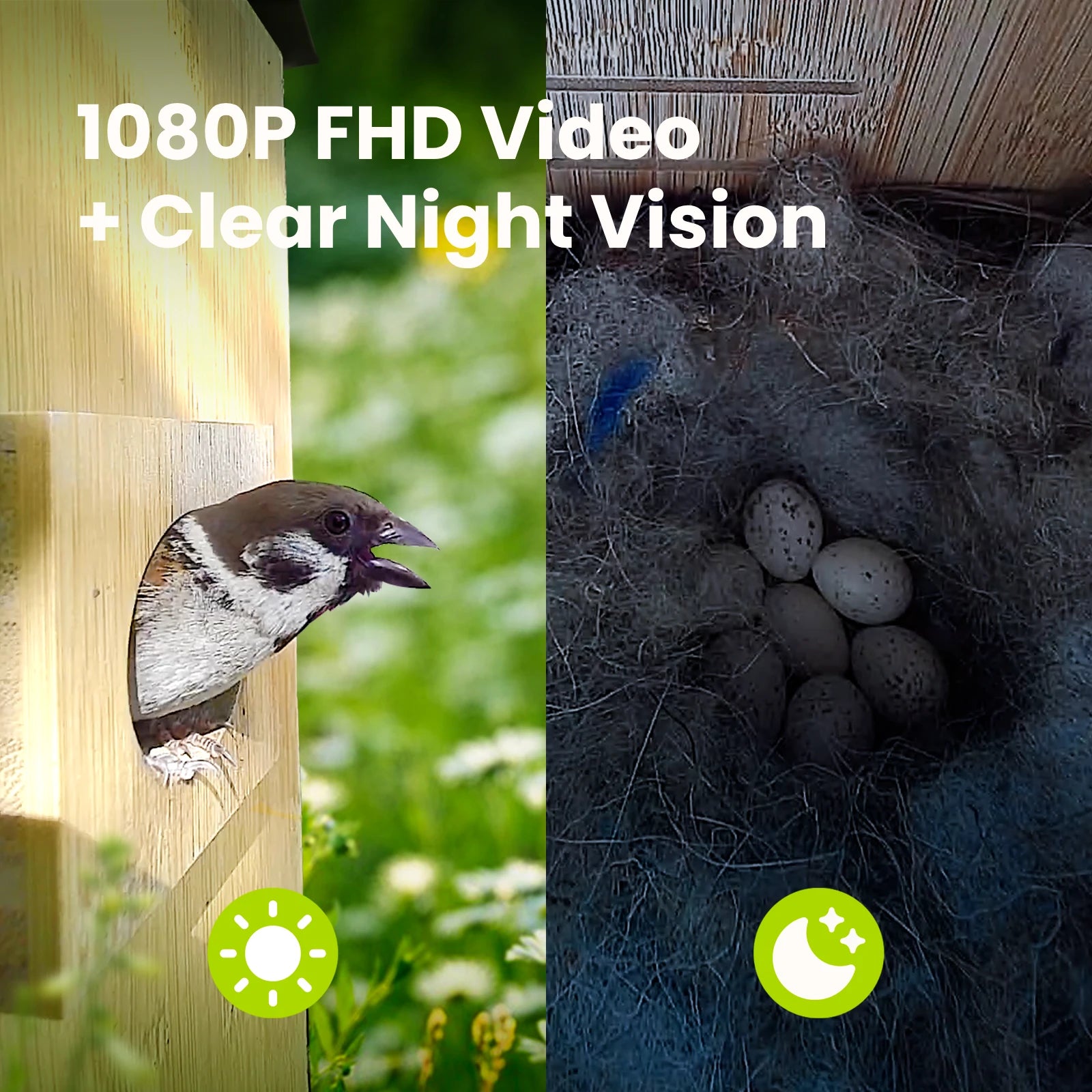 Birdfy Nest Duo - Smart Bird House with Dual Cameras