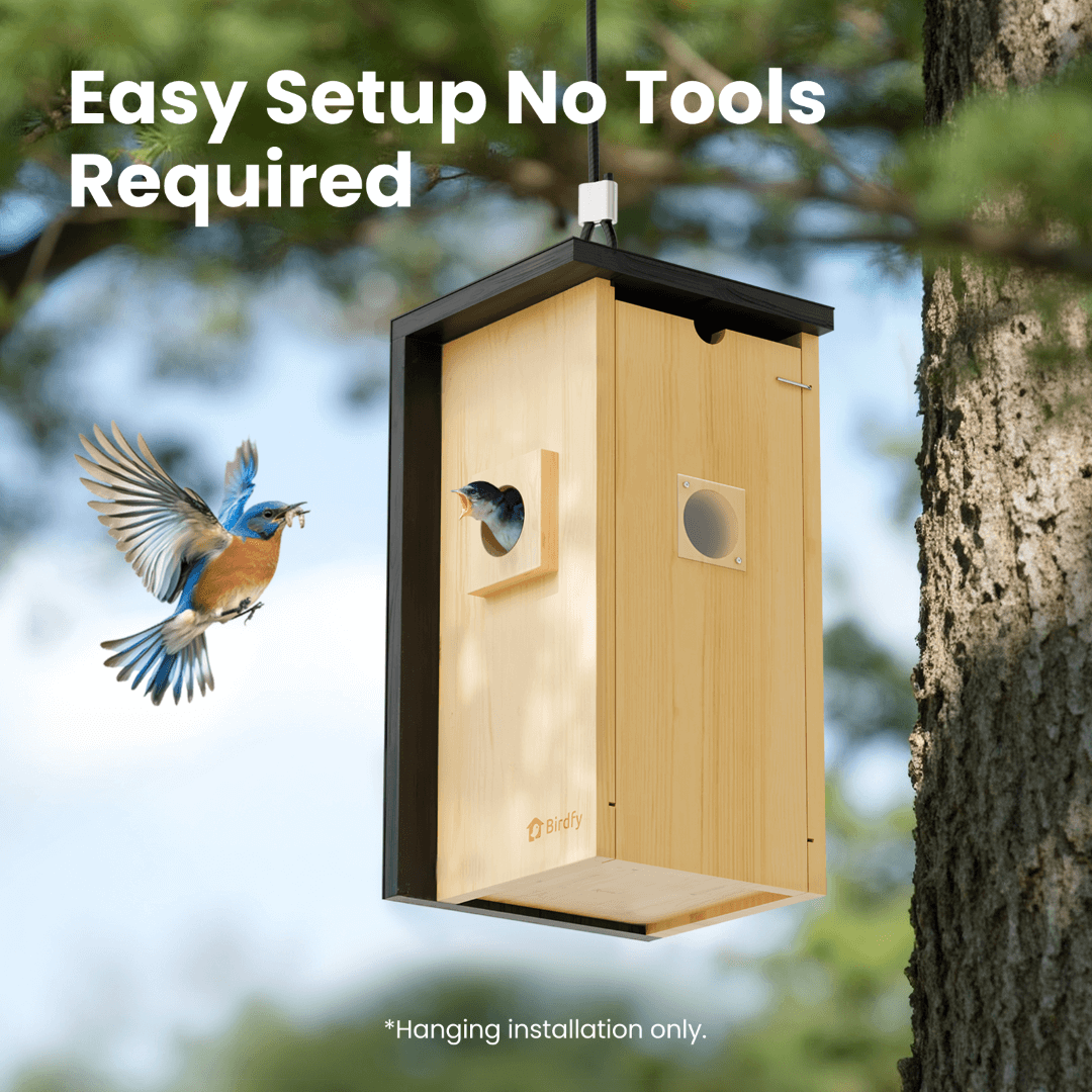 Birdfy Nest - Wooden Smart Birdhouse with Camera