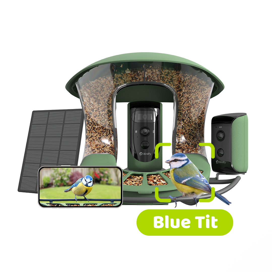 [Preorder] Birdfy Feeder 2 Duo - Ultimate Birdwatching View with 2 Angles