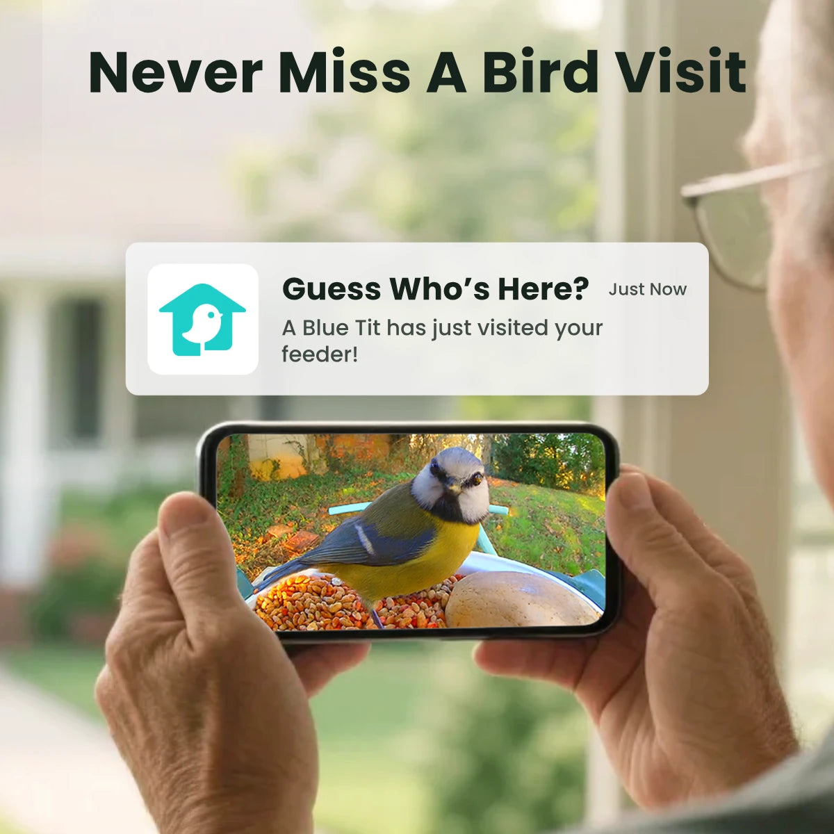 Birdfy Feeder with Solar Panel - Solar Powered Bird Feeder Camera