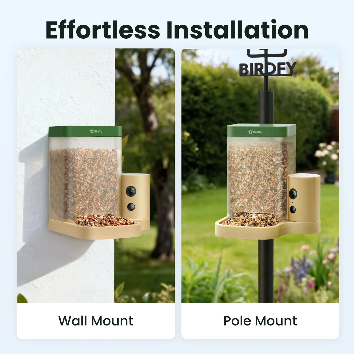 Birdfy Feeder Rookie + Birdfy Bath Pro with Stand Bundle