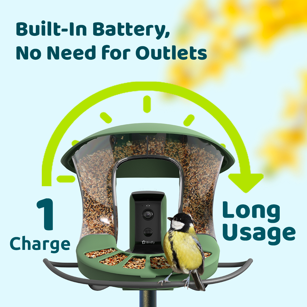 Birdfy Feeder 2 - Smart Bird Feeder