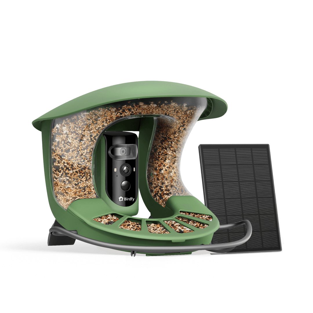 Green Birdfy Feeder 2 Pro smart bird feeder with integrated cameras and solar panel
