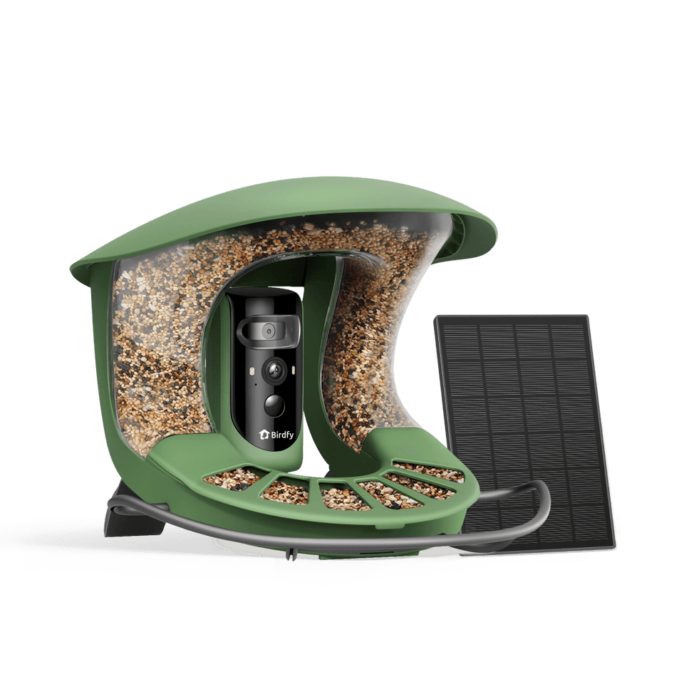 Birdfy Feeder 2 Pro with its solar panel