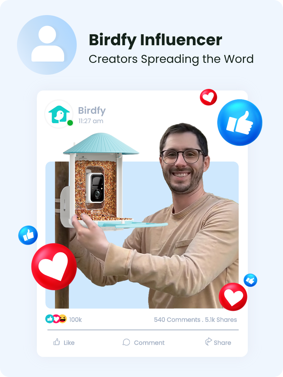 Birdfy UK | The Ultimate Smart Bird Feeder Camera with AI – birdfyuk