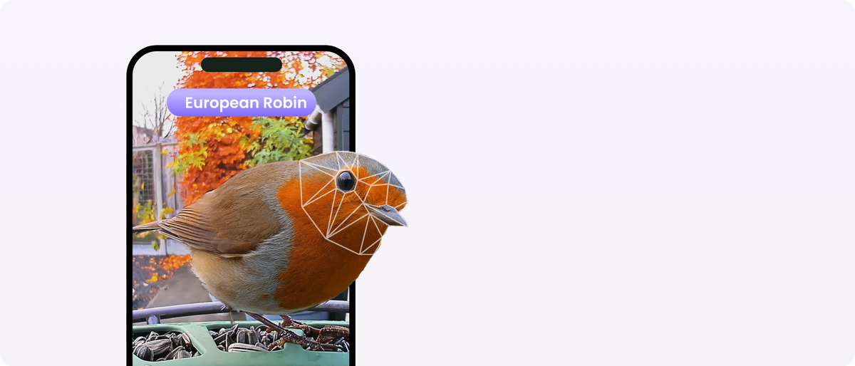 Birdfy UK | The Ultimate Smart Bird Feeder Camera with AI – birdfyuk
