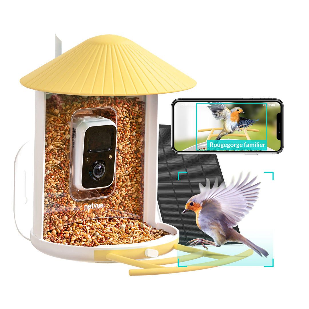 Birdfy Feeder with Solar Panel - Solar Powered Bird Feeder Camera