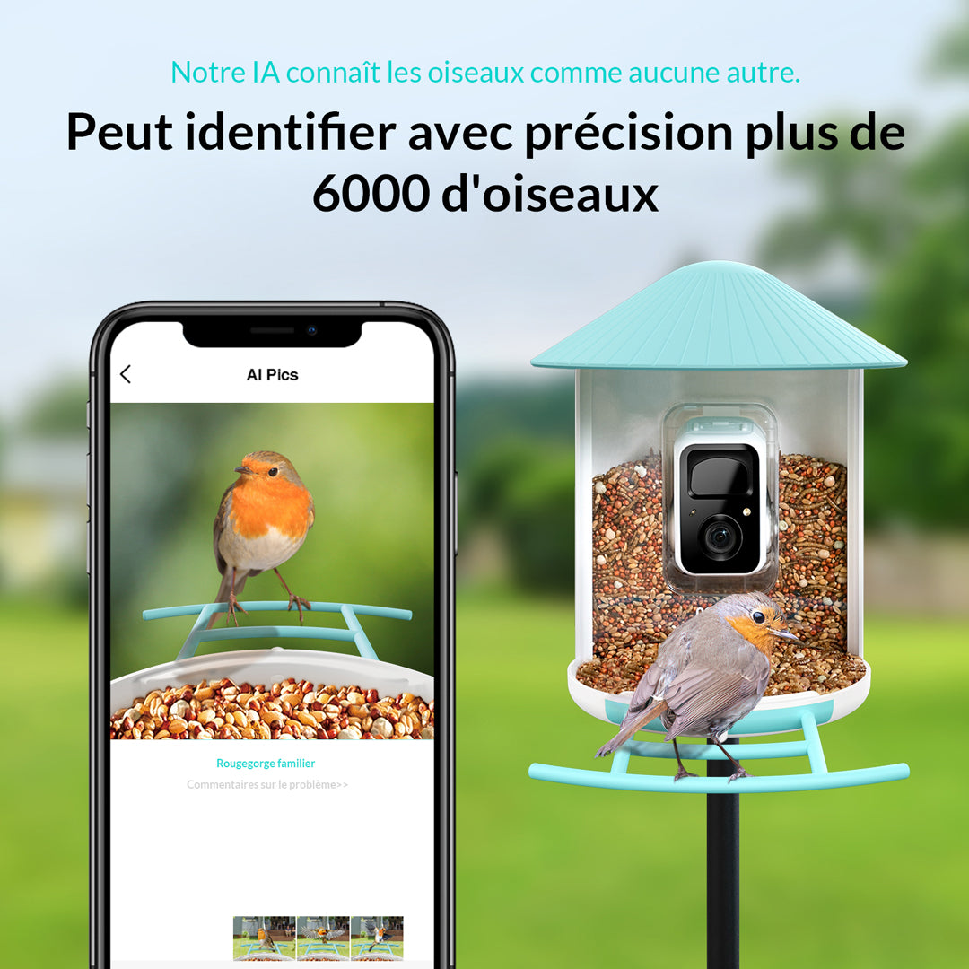 Birdfy Feeder with Solar Panel - Solar Powered Bird Feeder Camera