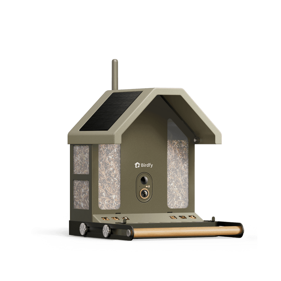 Birdfy UK | The Ultimate Smart Bird Feeder Camera with AI – birdfyuk