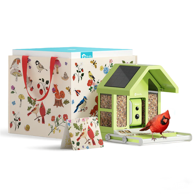 Birdfy Feeder Metal - Limited Gift Edition