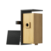 Birdfy Nest Duo - Upgraded Smart Bird House with Dual Cameras