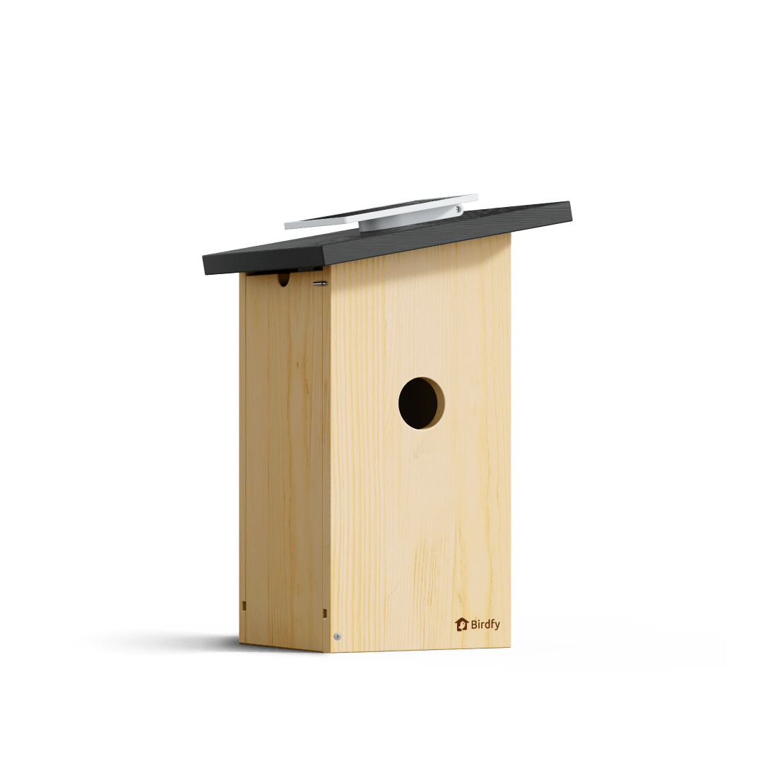 Birdfy Nest Ebony - Wooden Smart Birdhouse