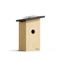 Birdfy Nest Ebony - Wooden Smart Birdhouse