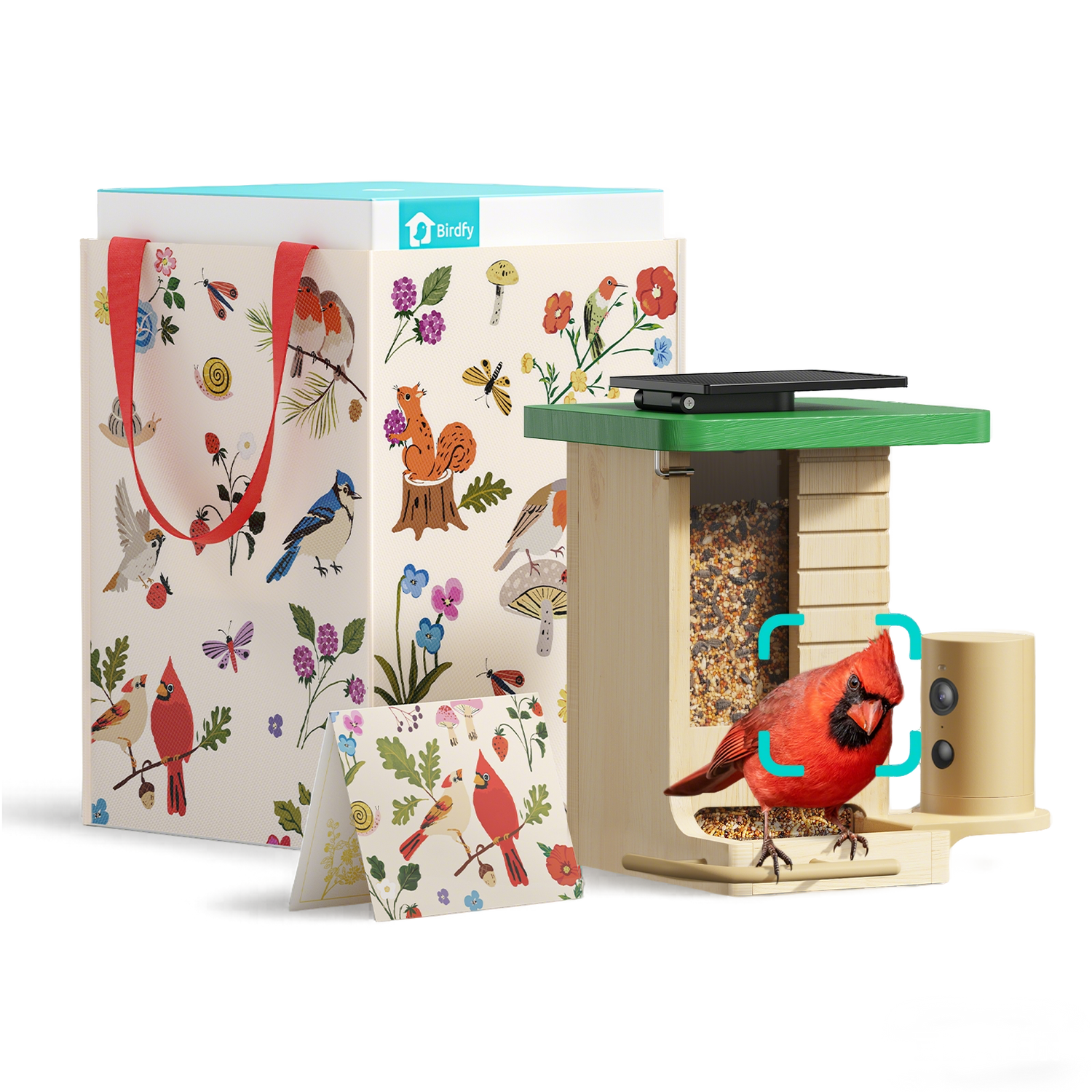 Birdfy Feeder Wood - Limited Father's Day Gift Set