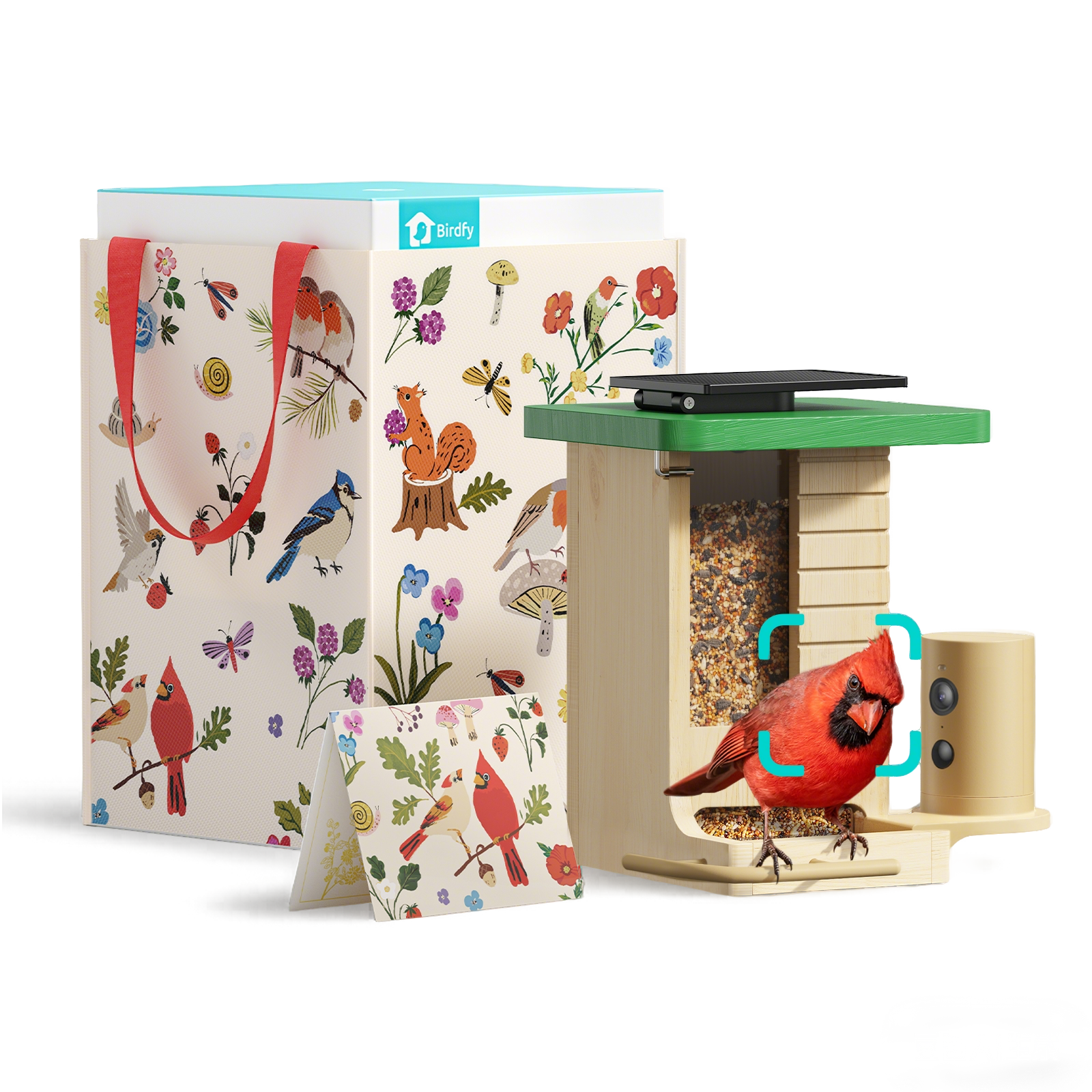 Birdfy Feeder Wood - Limited Father's Day Gift Set